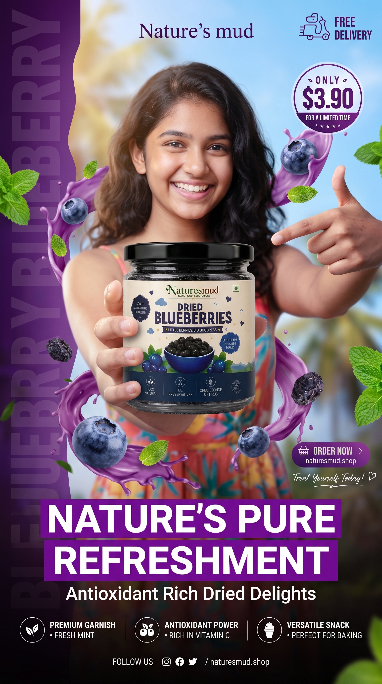 Dried Blueberries thumbnail 11